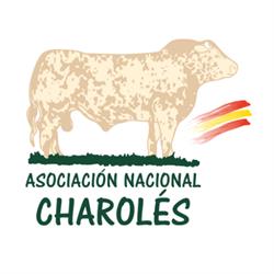 Asociación de Criadores de Ganado Vacuno Charolés de España en Cáceres (Oeste) - Horario de apertura