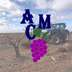 Horario de apertura Trabajos y Servicios agrícolas Clemente Marhuenda, Villarrobledo