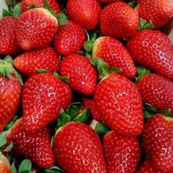 Horario de apertura Frutas El Parque, Elche