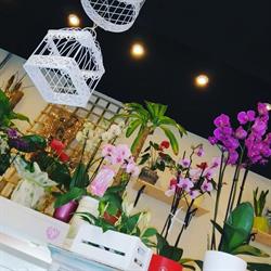 Horario de apertura Florería Xardín A Alameda, Santiago de Compostela
