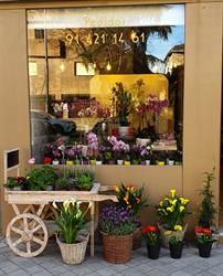 Horario de apertura Flor Decó, Madrid