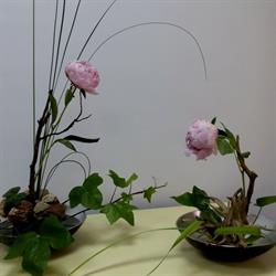 Horario de apertura Flores Tere Paterna, 