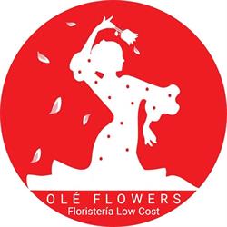 Horario de apertura Olé Flowers, Pinto