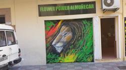 Horario de apertura Flower Power Almuñécar, 