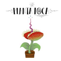 Planta Loca Shop CBD Grow Shop Floristeria en Valencia (La Saïdia) - Horario de apertura