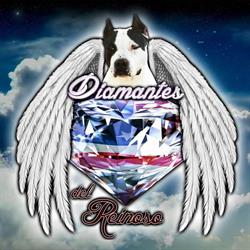 Horario de apertura Diamantes Del Reinoso, Estepona