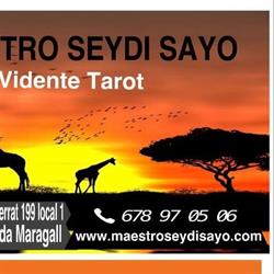 Maestro Sayo en Barcelona (Horta-Guinardó) - Horario de apertura