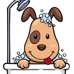 Horario de apertura Peluquería Canina Roberto Soriano, Cheste