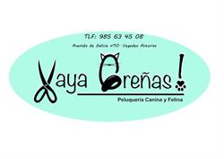 Horario de apertura Vaya Greñas, Vegadeo