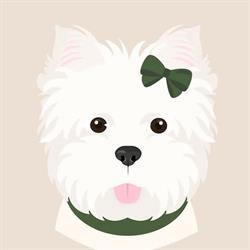 Lady Can perros estilosos en Gijón (Centro) - Horario de apertura