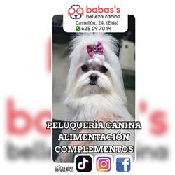 Horario de apertura Babas's Belleza Canina, Elda