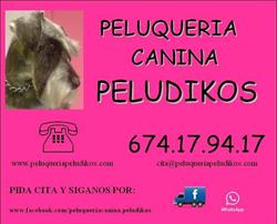 Horario de apertura Peluqueria Canina Peludikos, Elda