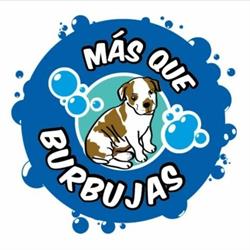 Horario de apertura Más Que Burbujas, Valladolid