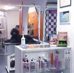 Horario de apertura Peluqueria Canina Huellas, Villena