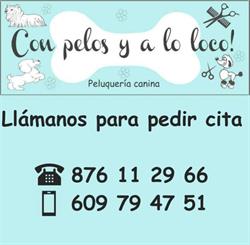 Con pelos y a lo loco en Zaragoza (Centro) - Horario de apertura