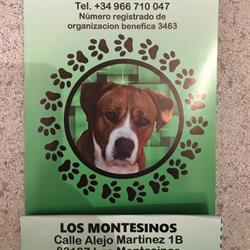 Horario de apertura SAT Animal Rescue Charity Shop, Los Montesinos