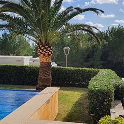 Horario de apertura Jardineria Y Mantenimiento FADER, Alcudia