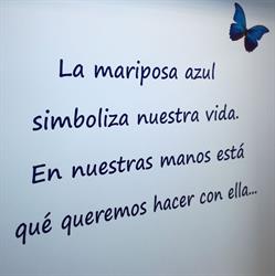 Horario de apertura Gabinete psicológico La mariposa azul, Pontevedra