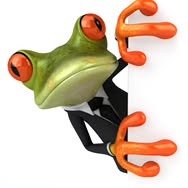 Horario de apertura Mister Frog, Alicante