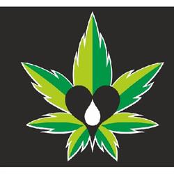 Cbd The Shop en Llucmajor (Platja De Palma) - Horario de apertura