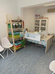Horario de apertura Veterinaria Consell,