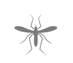 Horario de apertura Mosquito Business Group, Móstoles