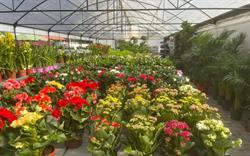 Horario de apertura Garden Center Los Madroños, S.L., Talavera de la Reina