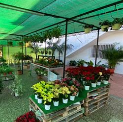 Horario de apertura Garden Center El Parral, El Raal