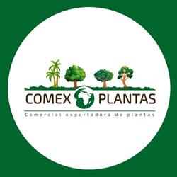 Horario de apertura ComEx Plantas S.L., Crevillent