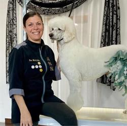 Horario de apertura Sa Moixa peluquería canina, Cocentaina