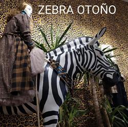 Horario de apertura Zebra, Alicante