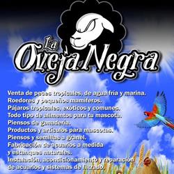 Horario de apertura La Oveja Negra, Águilas