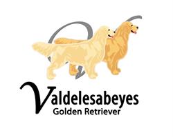 Horario de apertura Valdelesabeyes Golden Retriever, Pola de Laviana