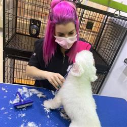 Horario de apertura Doggy, Peluqueria Canina y Tienda Especializada, Murcia