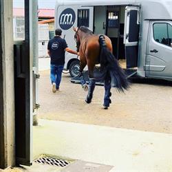 Horario de apertura RM HORSES, Gijón