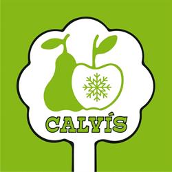 Horario de apertura Hort Calvís, S.L., Golmés