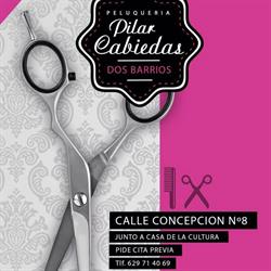 Horario de apertura Peluquería Pilar Cabiedas, Dos Barrios