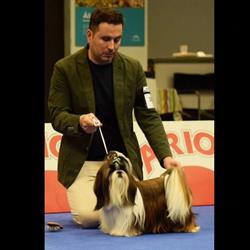 Horario de apertura Peluquería Canina Jaime Rivera, Villares de la Reina