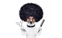 Peludos en Málaga (Teatinos-Universidad) - Horario de apertura