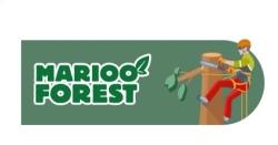Horario de apertura Marioo Forest, Barcelona