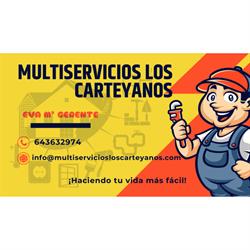 Horario de apertura Multiservicios Los Carteyanos, Cartaya