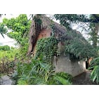 Horario de apertura Bungalows India, L'Alfàs del Pi