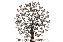 Horario de apertura Beatriz Tierno, Madrid