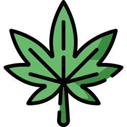 Horario de apertura G13 Weed Club Tenerife, San Eugenio