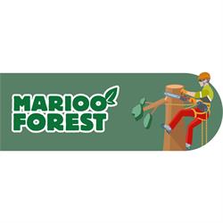 Horario de apertura Marioo Forest, Santa Coloma de Cervelló