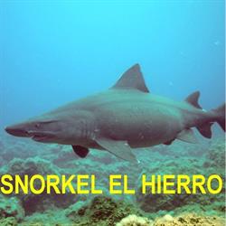 Horario de apertura Snorkel El Hierro, El Pinar