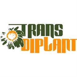 Horario de apertura Transdiplant, Vilassar de Mar