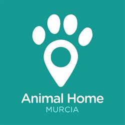 Horario de apertura Animal Home Murcia, Molina de Segura