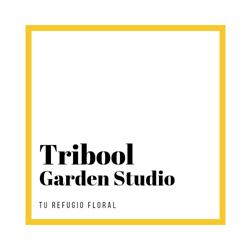 Horario de apertura Tribool Garden Studio, Albalate de las Nogueras