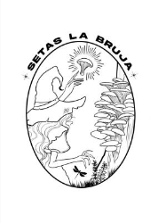 Horario de apertura Setas La Bruja Productor Recomendado, Granadilla de Abona